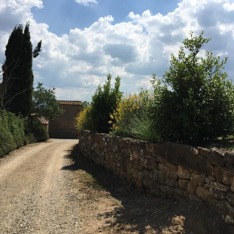 Villa Fonte All'Oppio Con Area Piscina Recintata Pienza Luaran gambar