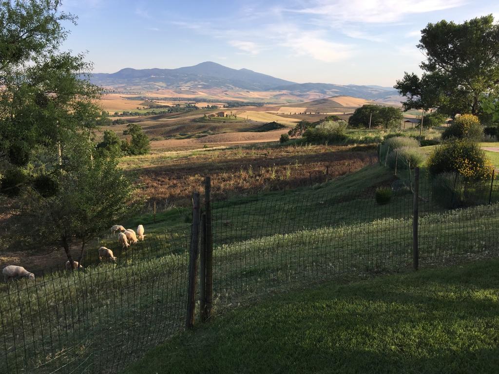 Villa Fonte All'Oppio Con Area Piscina Recintata Pienza Luaran gambar